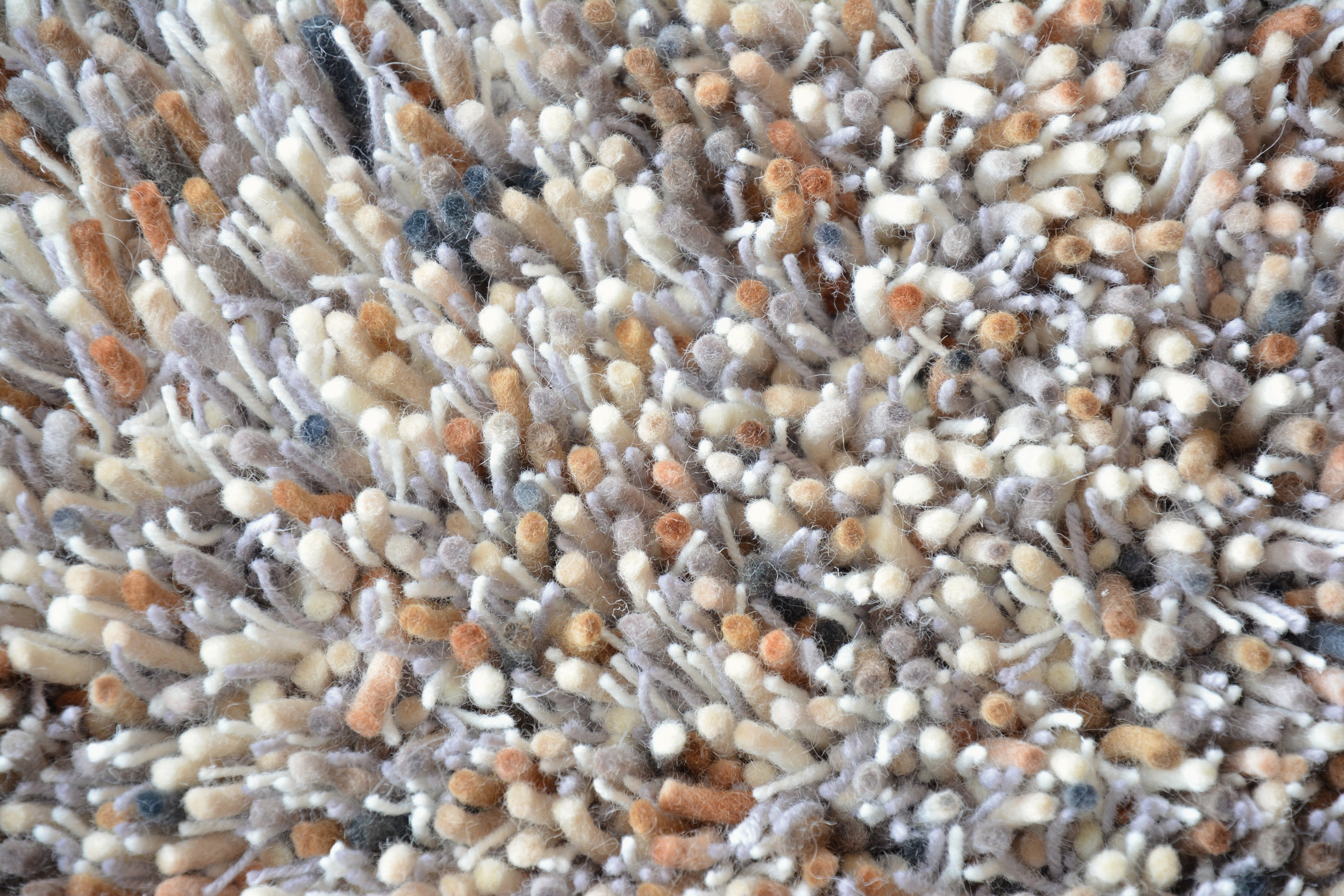 Brink & Campman Young 061801