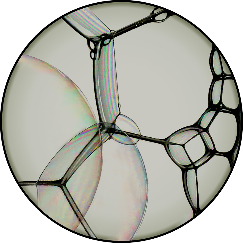 Moooi Carpets Bubble Natural