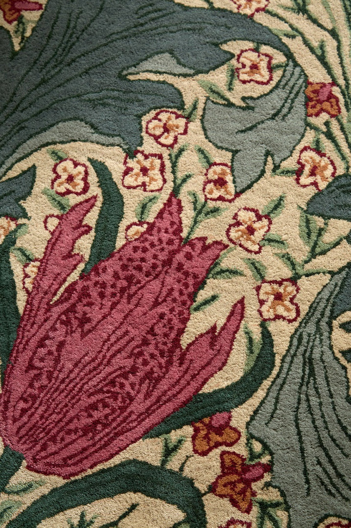 Tapis Morris & Co Lent Lily Plum Bayleaf crème aux tulipes prune et feuilles vert laurier, dans un intérieur, troisième vue