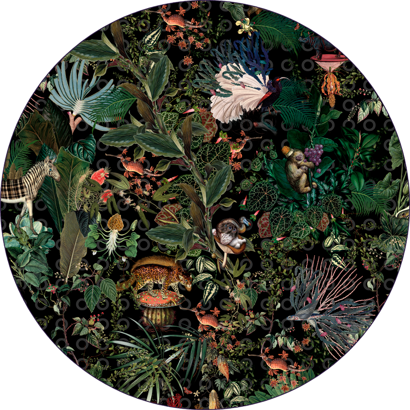 Moooi Carpets Menagerie of Extinct Animals Raven