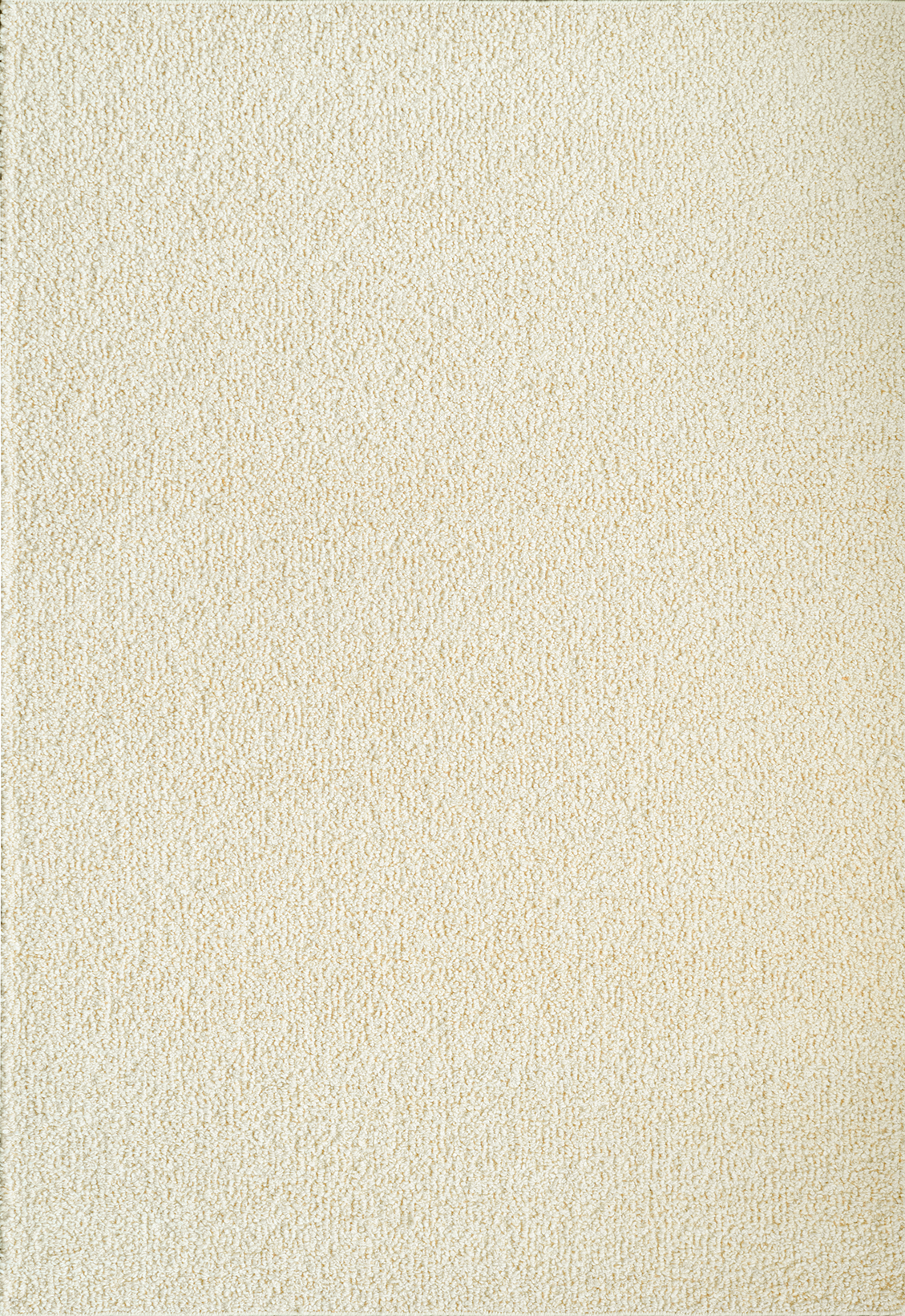 Acsento Caligari Ivory