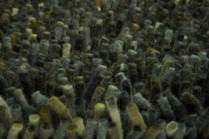  Brink & Campman | Rocks Pine Forest 70547 | Carpet | Online Tapijten